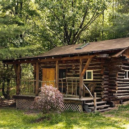 Rustic Ridge Villa Penn Yan Bagian luar foto