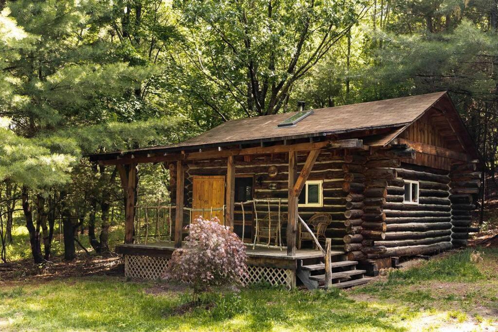 Rustic Ridge Villa Penn Yan Bagian luar foto